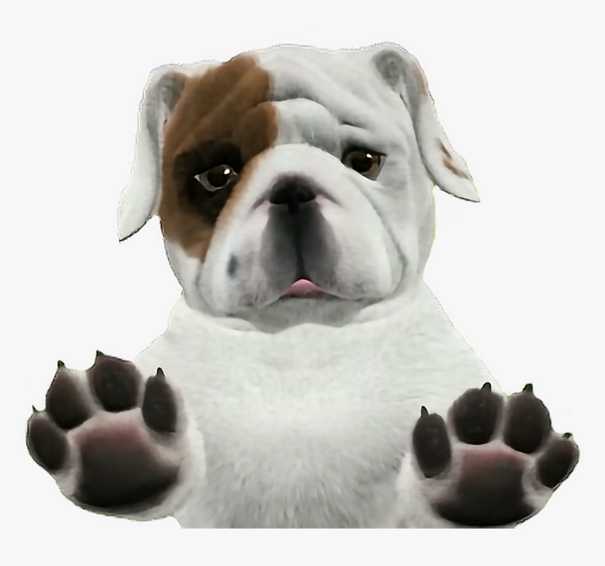 Transparent Running Bulldog Clipart - Transparent Background Bulldog Transparent, HD Png Download