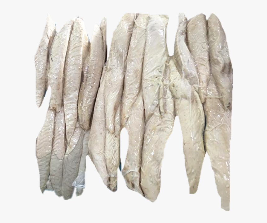 Eel, HD Png Download