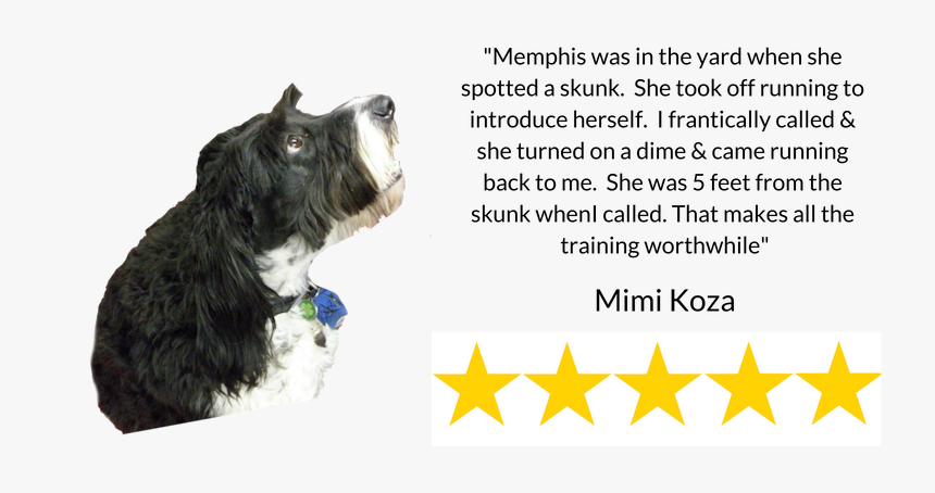 Screenshot, HD Png Download