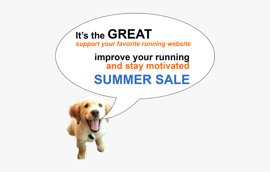 Beatings Will Continue Until Morale Improves Printable, HD Png Download