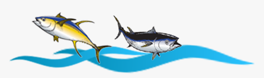Transparent Marlin Clipart - Atlantic Blue Marlin, HD Png Download