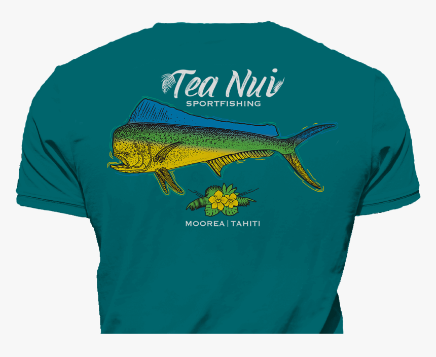 Transparent Tuna Fish Png - Sailfish, Png Download