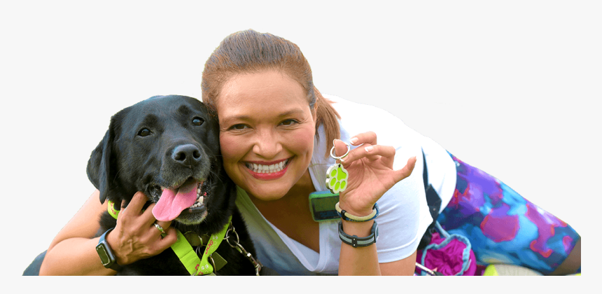 Labrador Retriever, HD Png Download