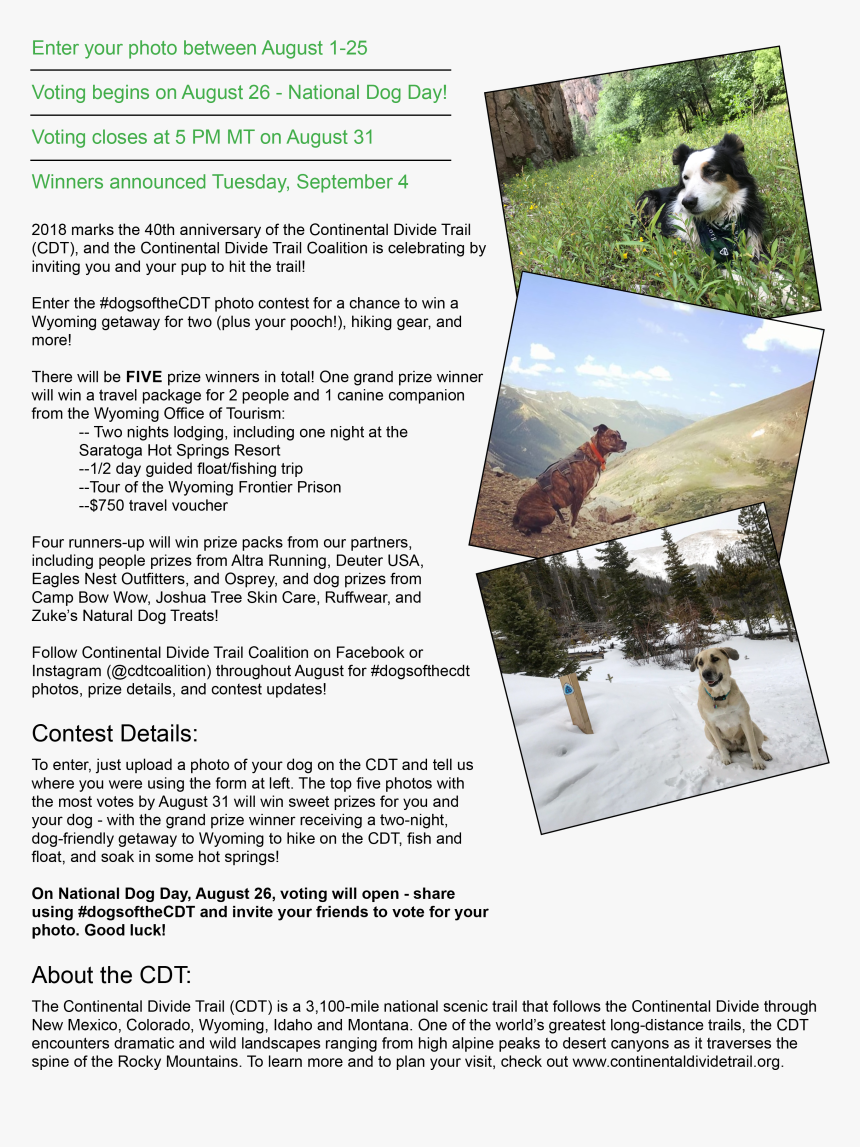 Brochure, HD Png Download