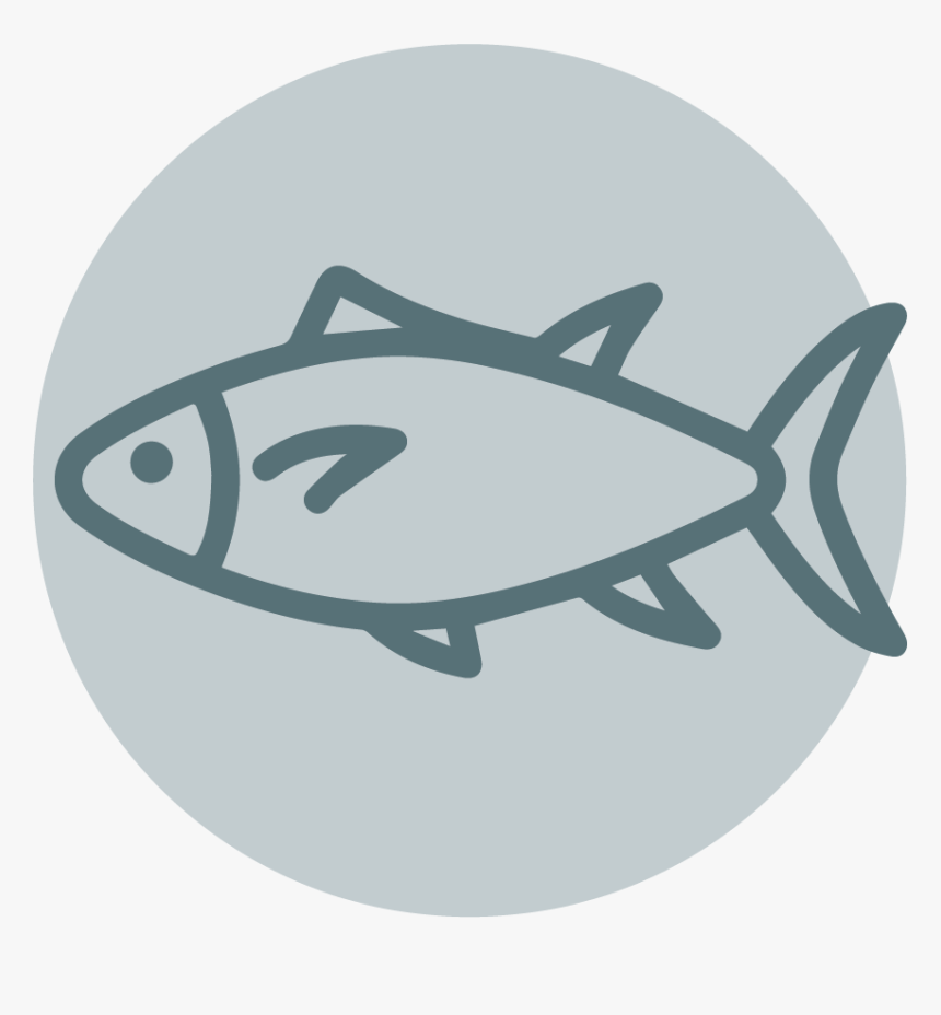 Circle, HD Png Download