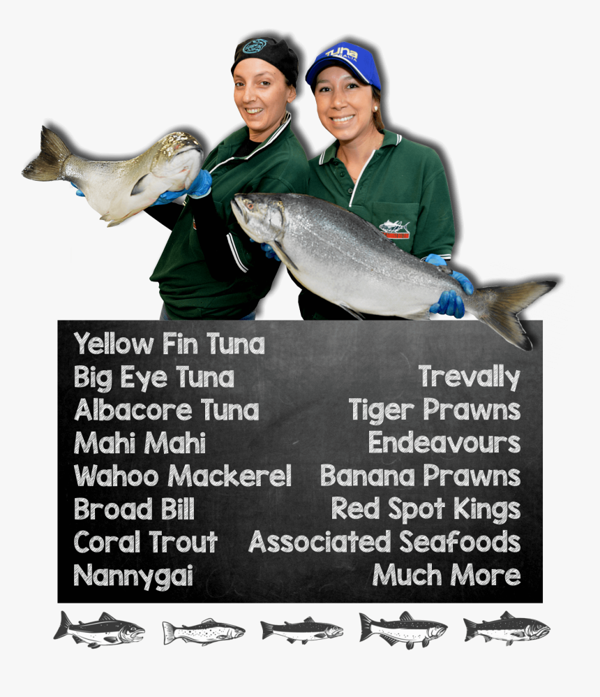 Tuna Fish Png, Transparent Png