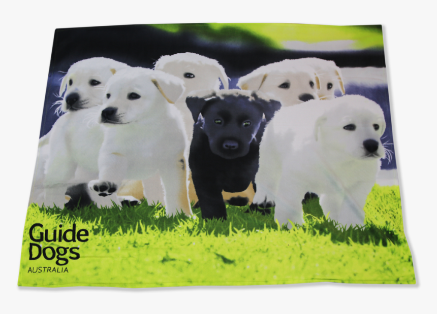 Image Of A Rug Featuring Adorable Running Puppies - Labrador Retriever, HD Png Download