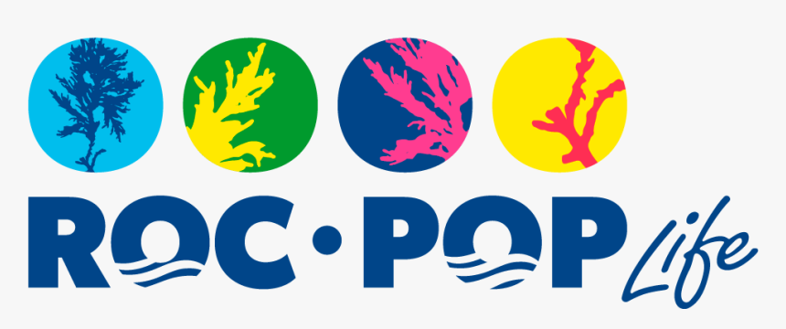 Transparent Kickoff Png - Roc Pop Life, Png Download
