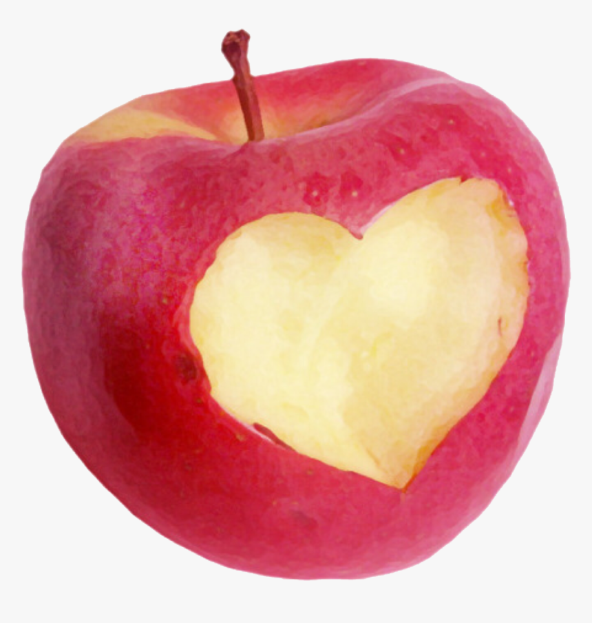 Image - Food Png, Transparent Png