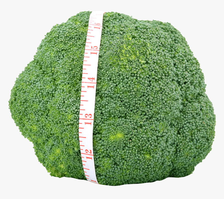 Fresh Png, Transparent Png