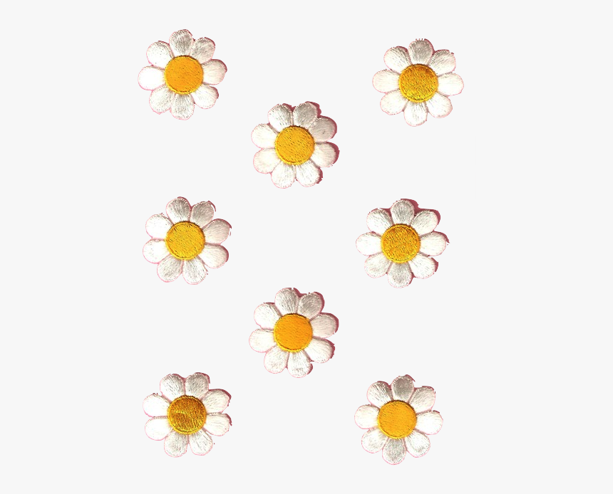 Transparent My Editdaisy Png Tumblr, Png Download