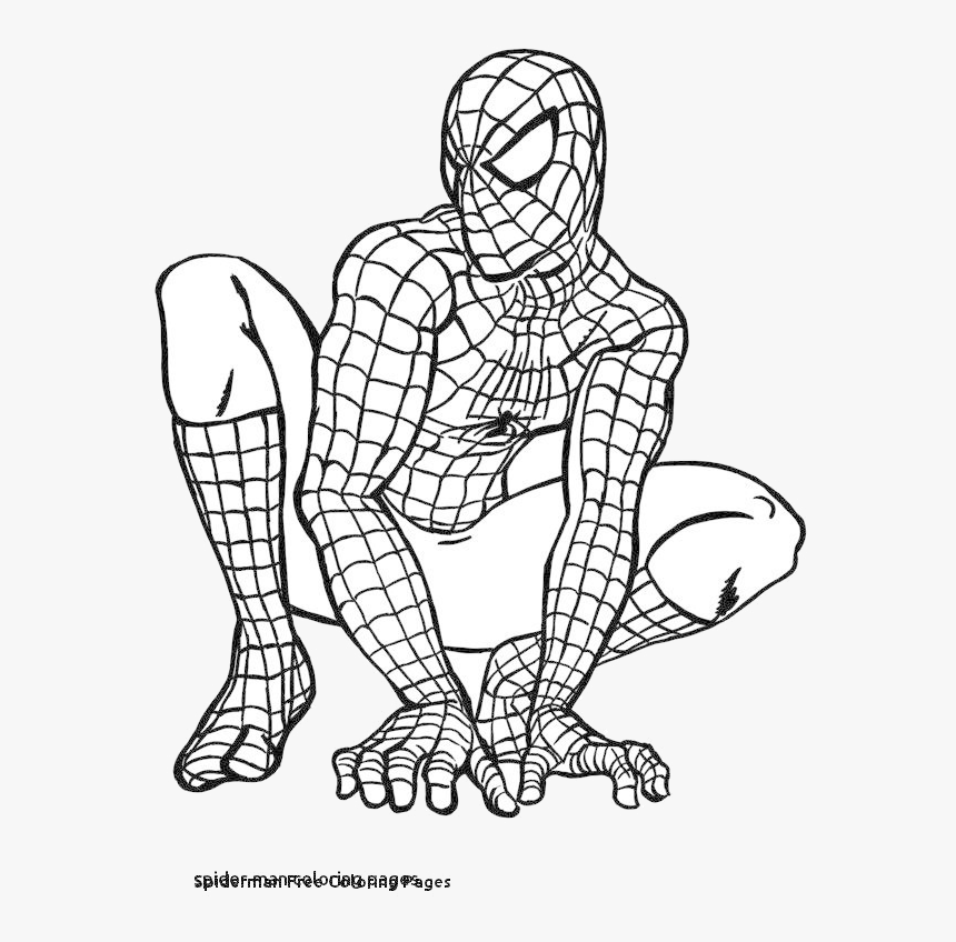 Spiderman Fresh Clipart Free Transparent Png, Png Download