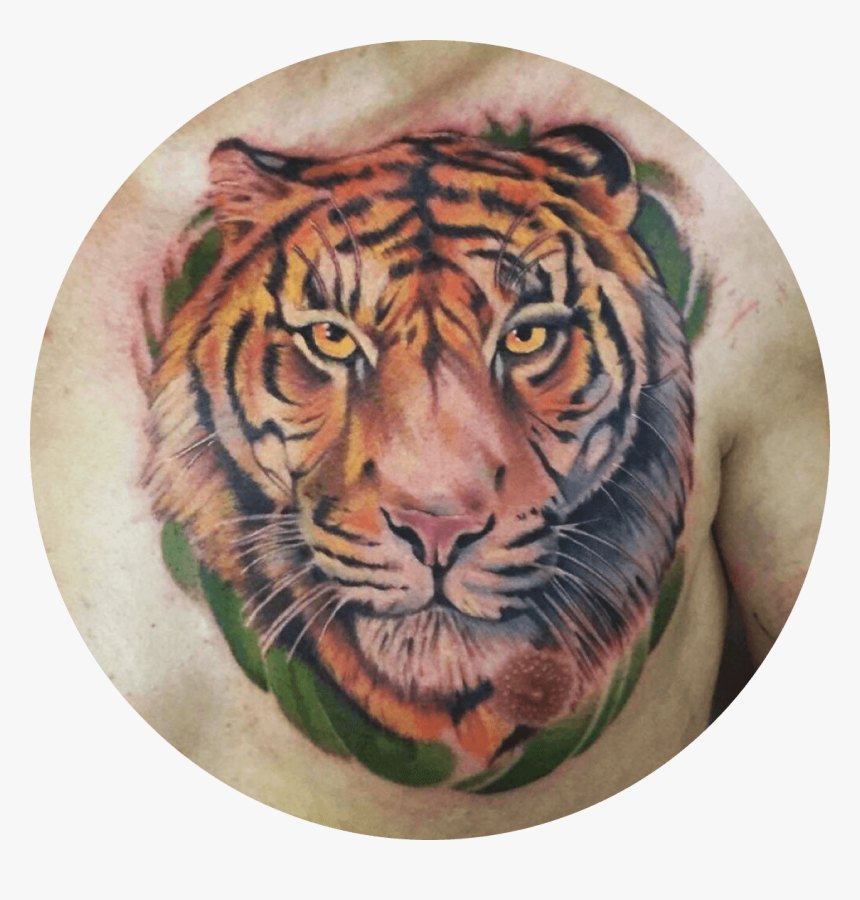 Tigre Png, Transparent Png