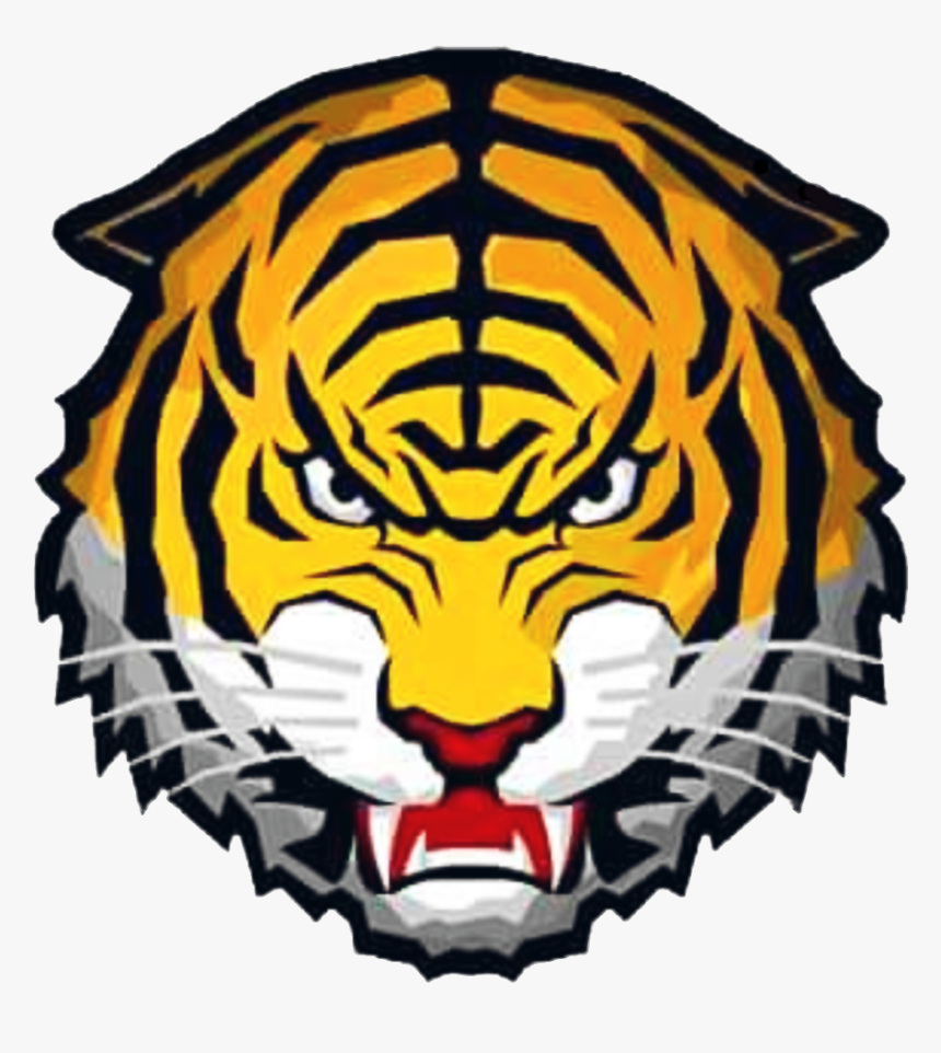 Tigre Png, Transparent Png