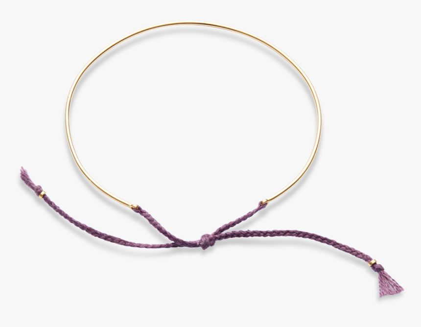 Aster Png , Png Download, Transparent Png