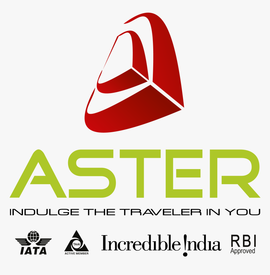 Transparent Aster Png, Png Download