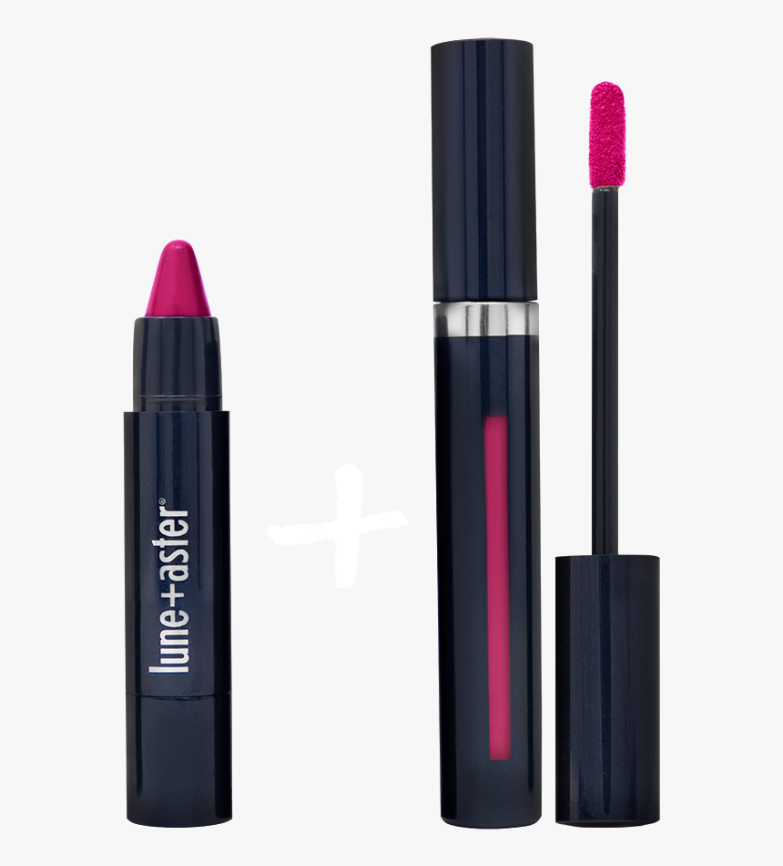 Aster Png, Transparent Png