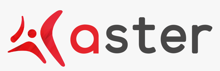 Aster Png, Transparent Png