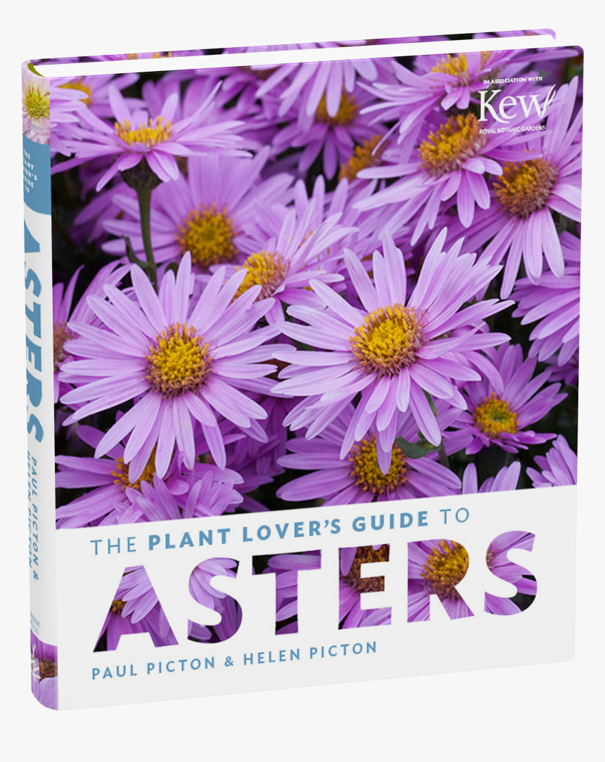 Cover, HD Png Download