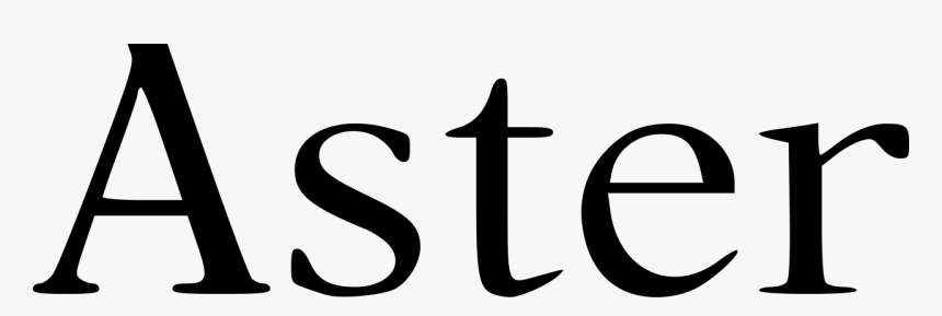 Aster Png, Transparent Png