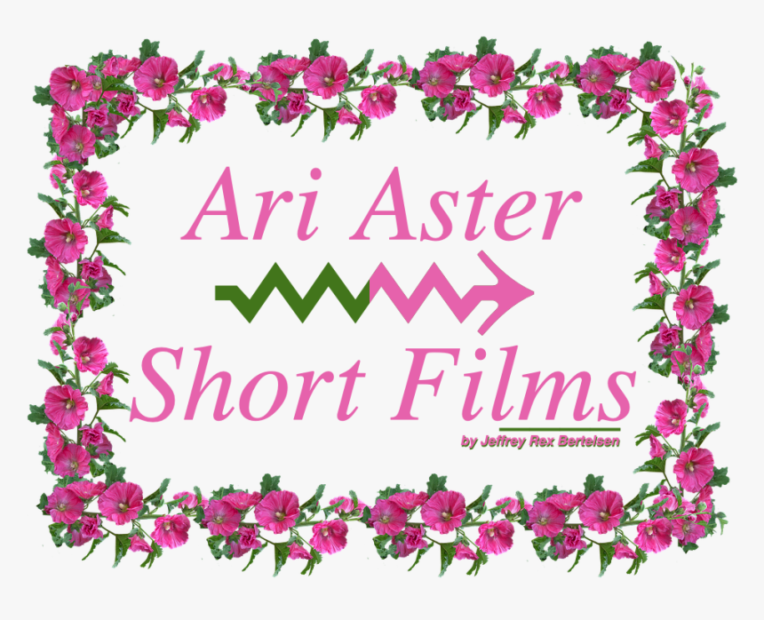 Aster Png, Transparent Png