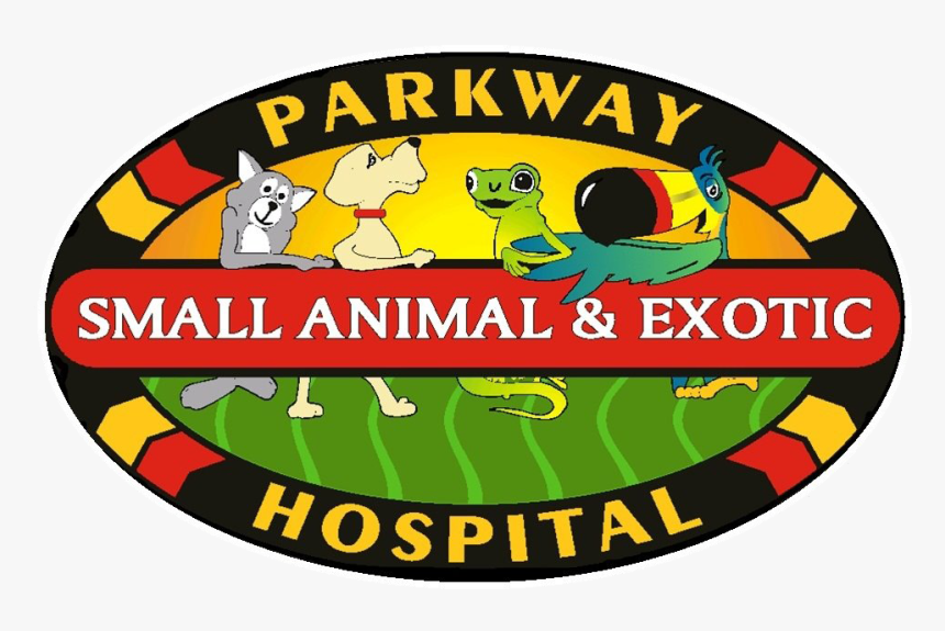 461551 10150816950256761 1913373941 O Copy, HD Png Download