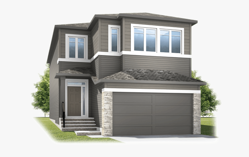 Aster Png, Transparent Png