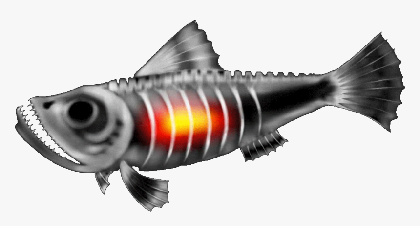 Fire Burst Png, Transparent Png