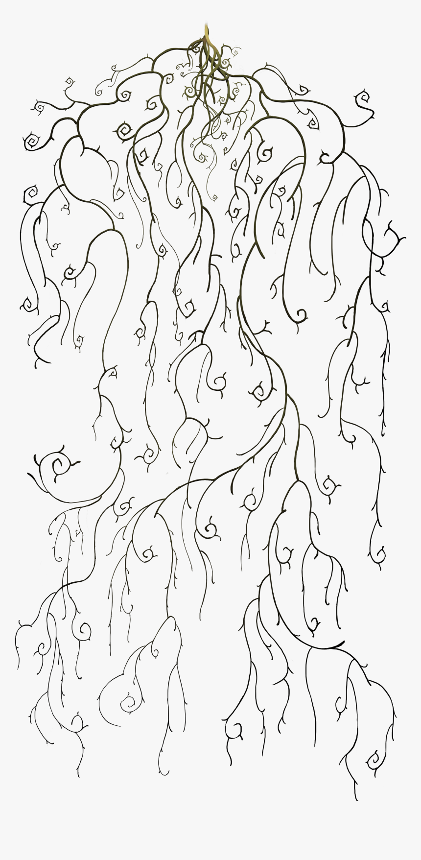 Fire Burst Png, Transparent Png