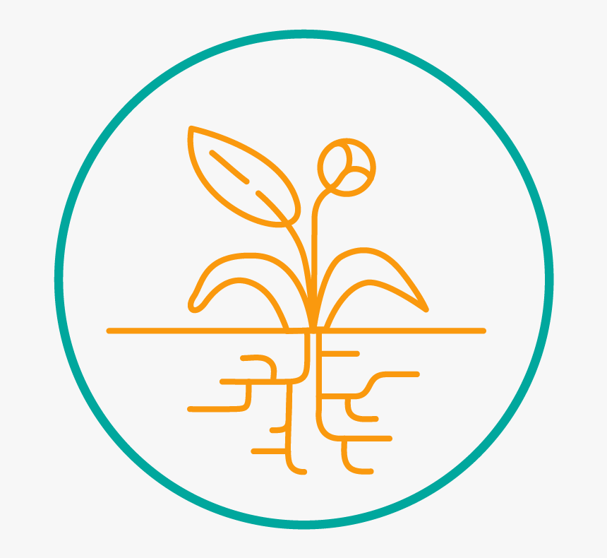 Hyi Icon Growth 01, HD Png Download