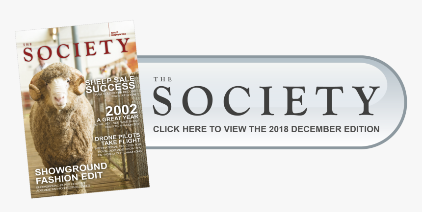 Society Download Now Button, HD Png Download