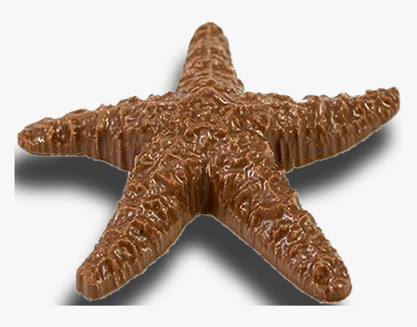 Chocolate.png, Transparent Png