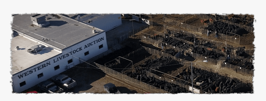 First Slide, HD Png Download