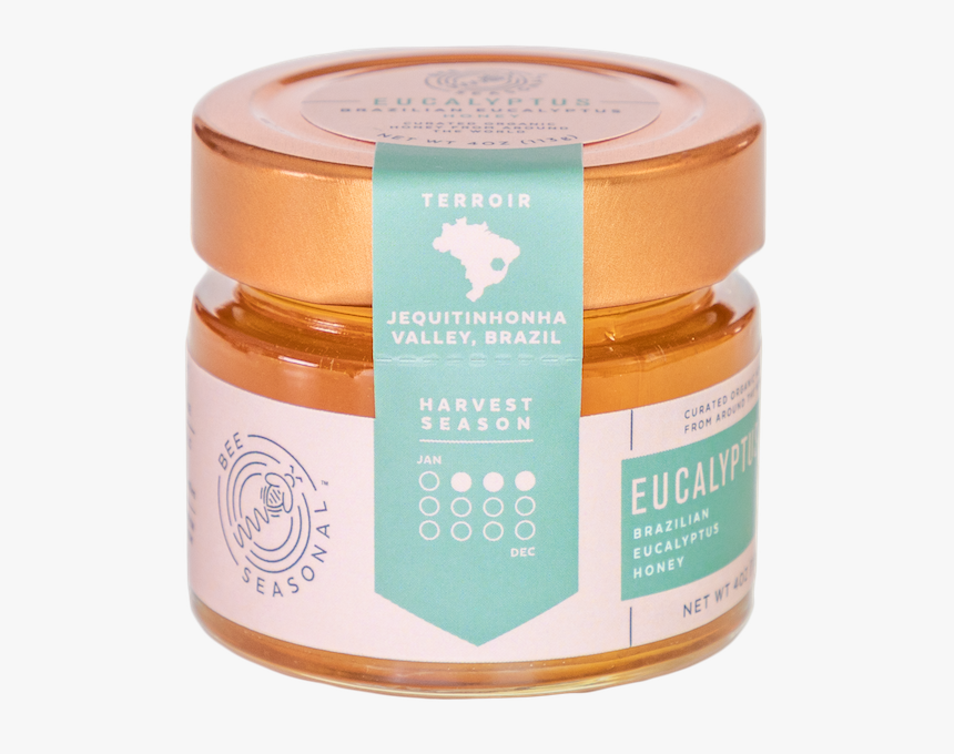 Eucalyptus Tree Png, Transparent Png