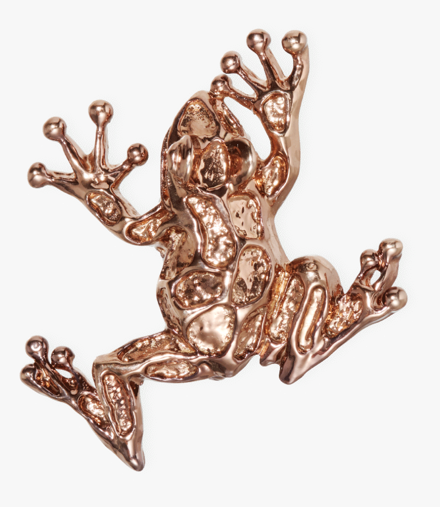 Frog Bronze-plated Brooch Fw19 Collection, Pal Zileri, HD Png Download
