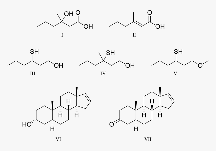Fig -, HD Png Download