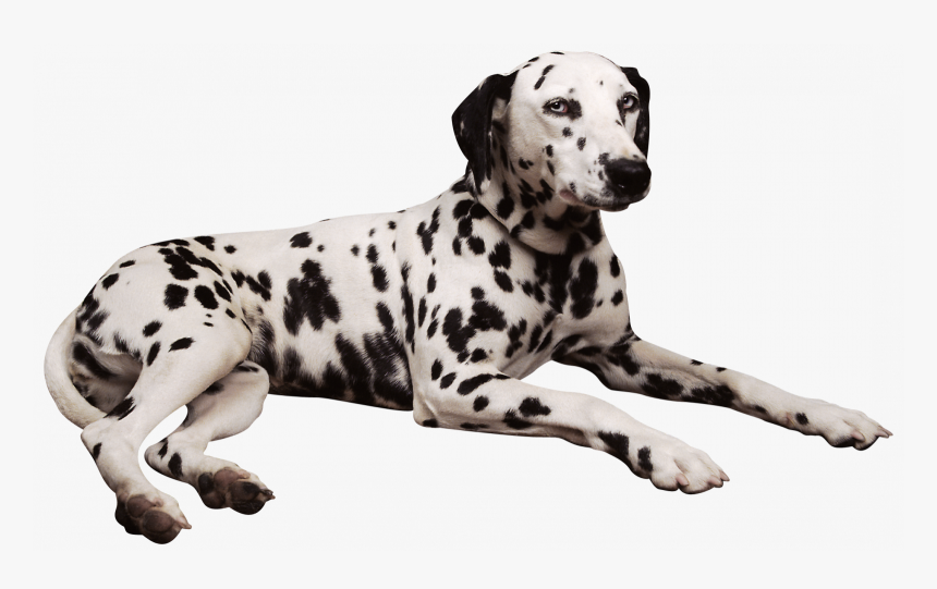 101 Dalmatians Png, Transparent Png