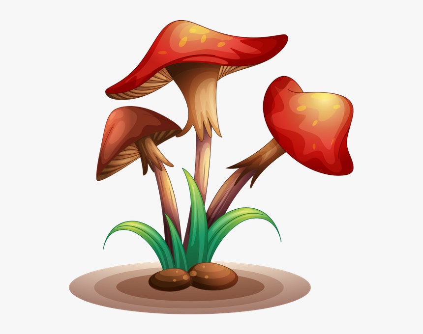 Грибы, Лесные Грибы, Mushrooms, Forest Mushrooms, Pilze,, HD Png Download