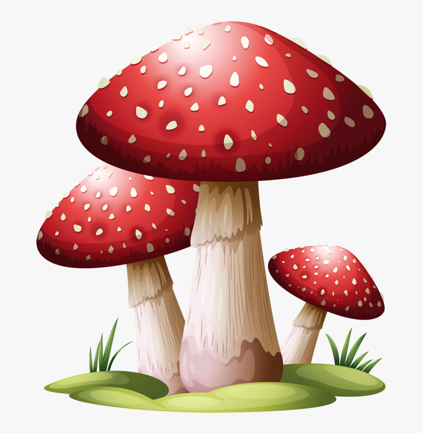 Drawing Mushrooms Easy, HD Png Download