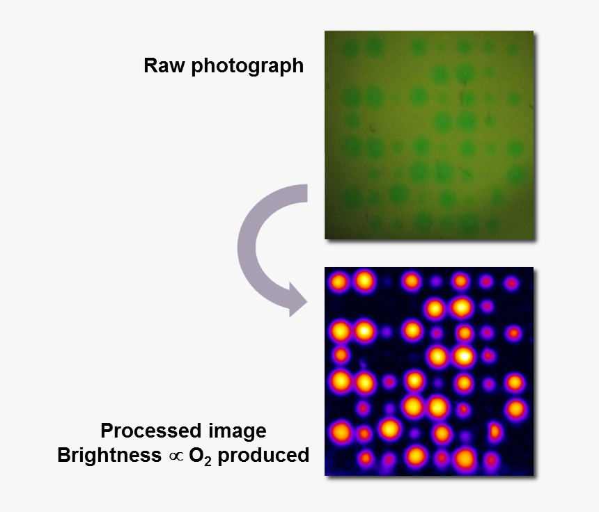 Transparent Harpoon Png, Png Download