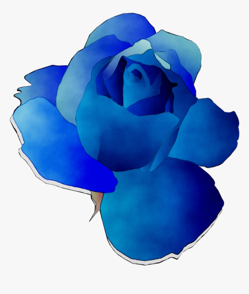 Blue Rose Garden Roses Cut Flowers, HD Png Download , Transparent Png ...