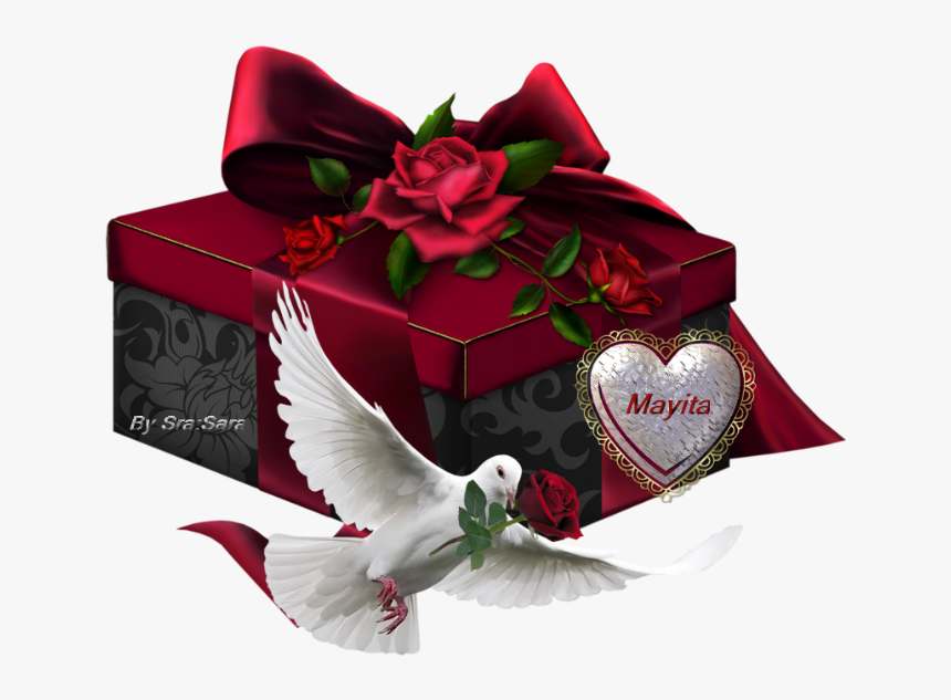 Transparent Palomas Png, Png Download