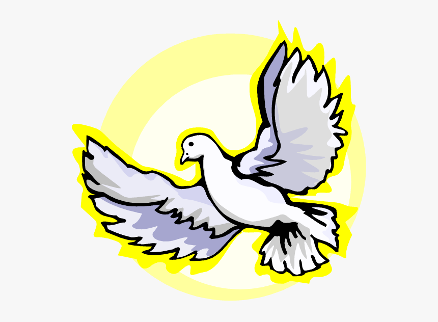 Dove Vector Png, Transparent Png