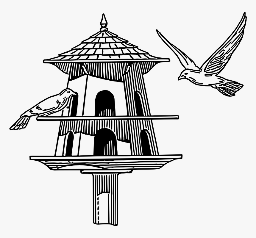 Bird, Dove, Dovecote, Garden, House, Pigeon, HD Png Download