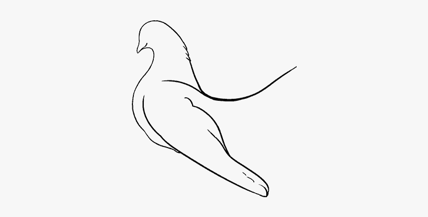 Dove Vector Png, Transparent Png