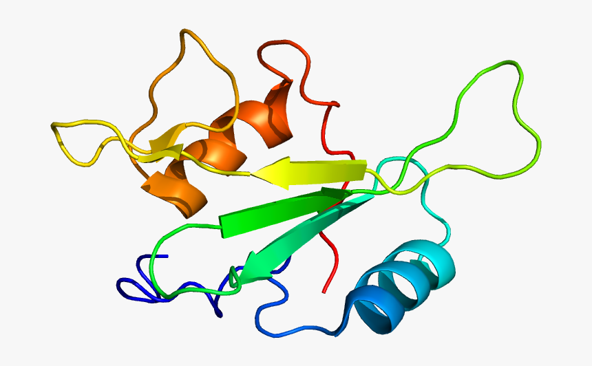 Protein Bmx Pdb 2ekx, HD Png Download
