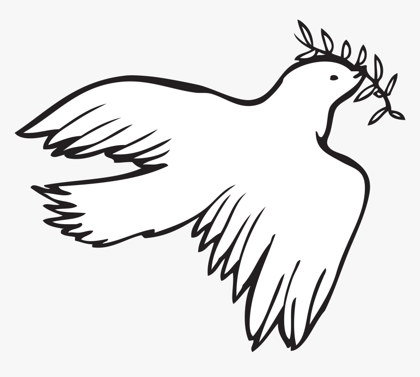 Dove Vector Png, Transparent Png