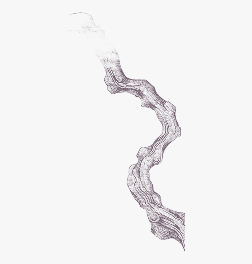 Transparent Leonardo Dicaprio Walking Png, Png Download