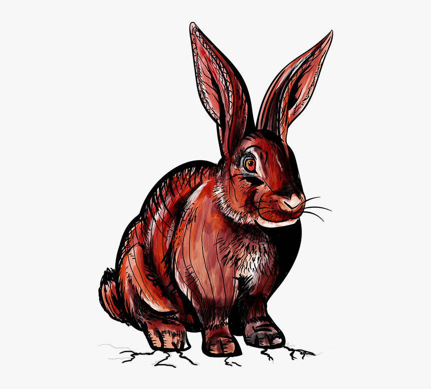 Rabbit, Wild Rabbit, Red, Bunny, Animal, Wild, Devil, HD Png Download