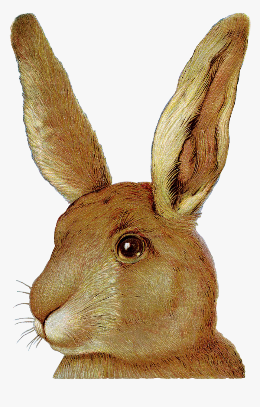 Easter Bunny European Rabbit Domestic Rabbit, HD Png Download ...